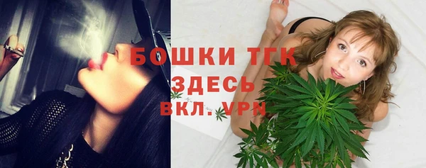 бошки Алексин