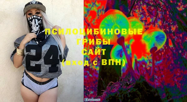 бошки Алексин