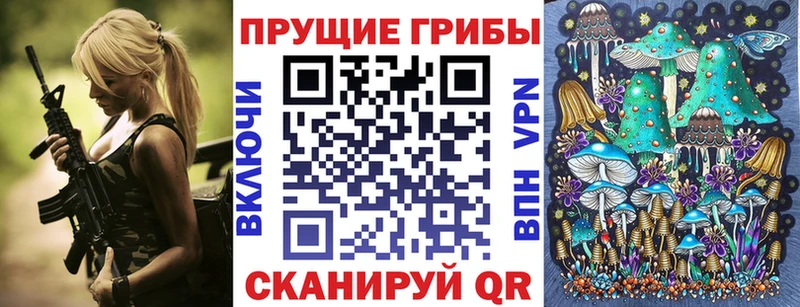 наркошоп  Карабулак  Псилоцибиновые грибы MAGIC MUSHROOMS 